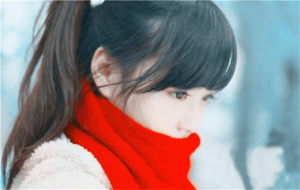 阳原胎儿几个月可以性别鉴定(胎儿一般几个月可以鉴定性别)